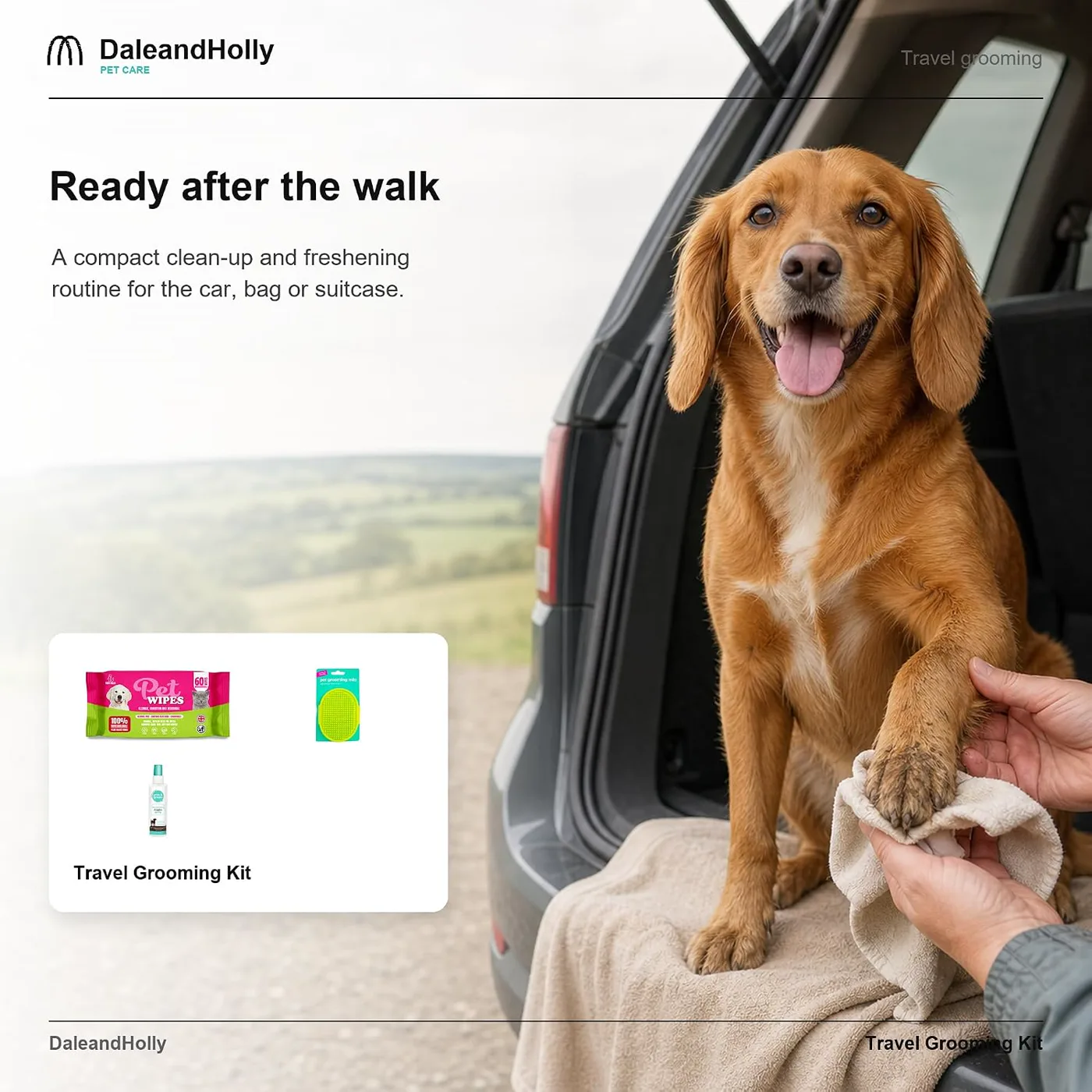 Dog sitting beside a car while its paw is cleaned after a walk
