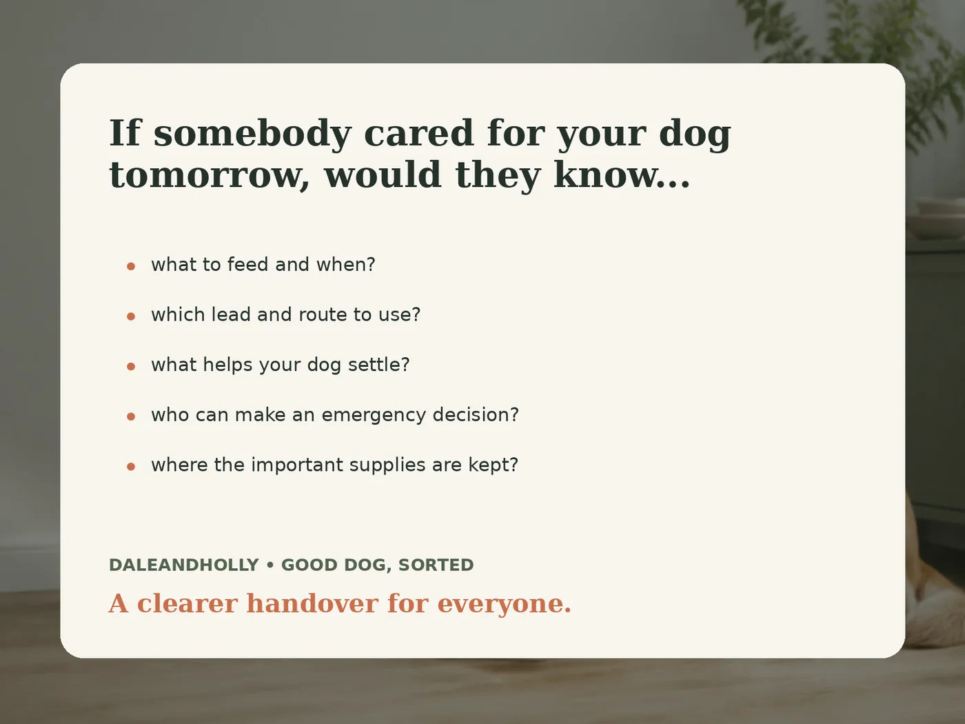 Questions dog owners should answer before a care handover